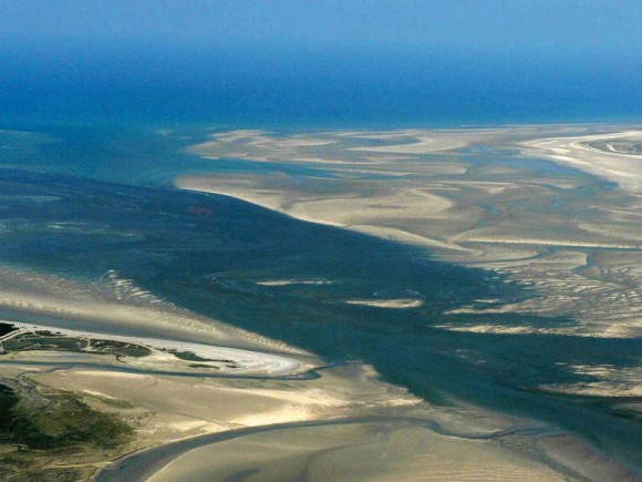 Séminaire nature Baie de Somme