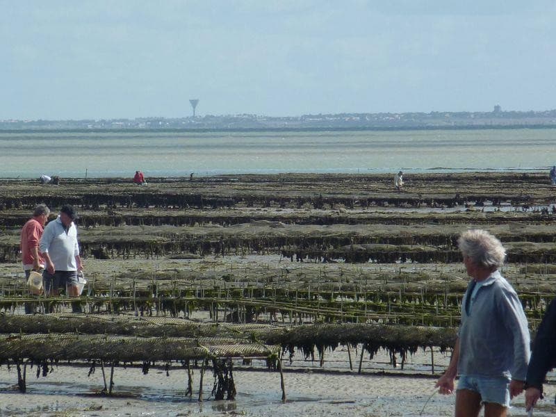 Séjour nature CSE