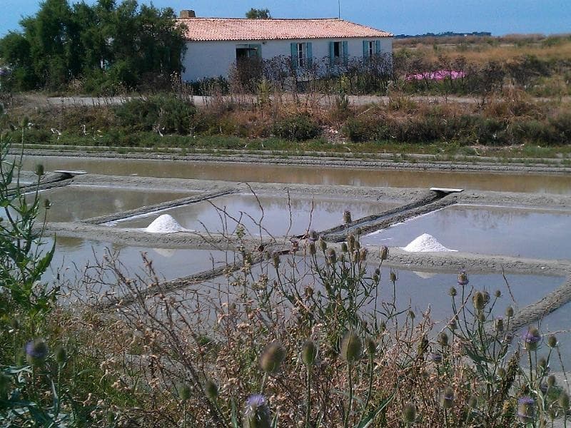 Séjour CSE nature