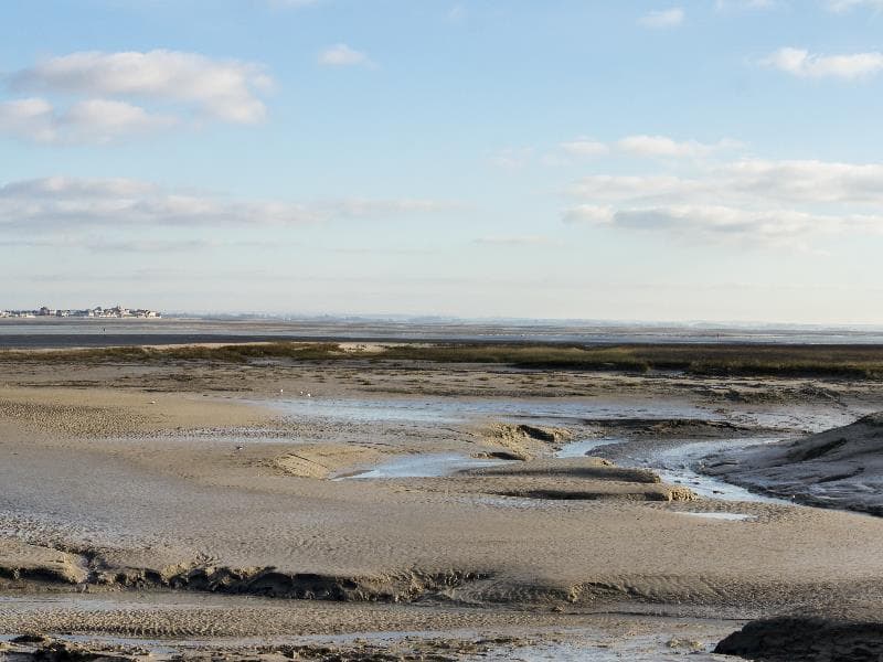 Séminaire RSE nature Baie de Somme