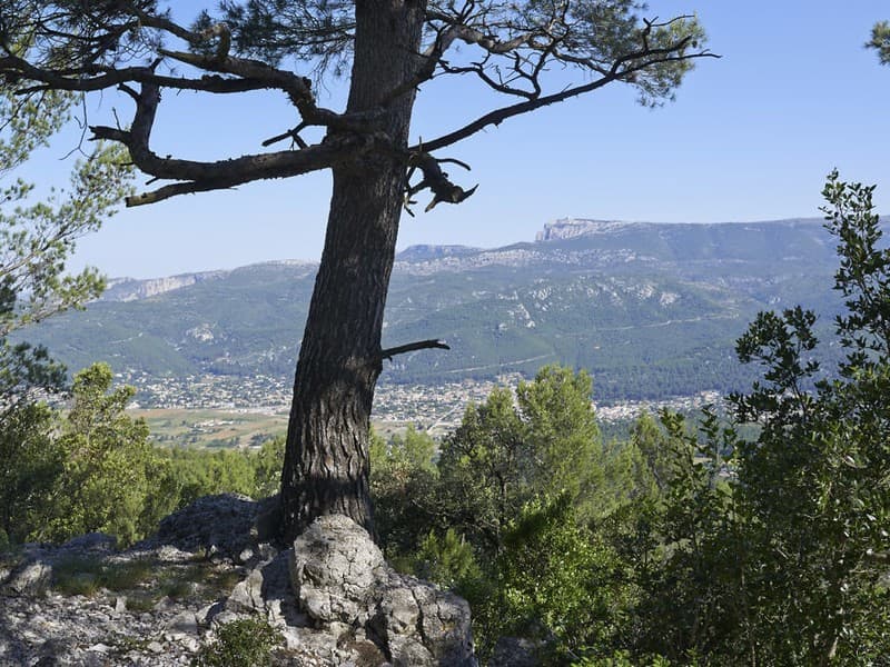 Séminaire Développement Durable