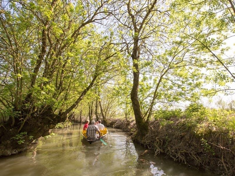 séminaire Marais Poitevin