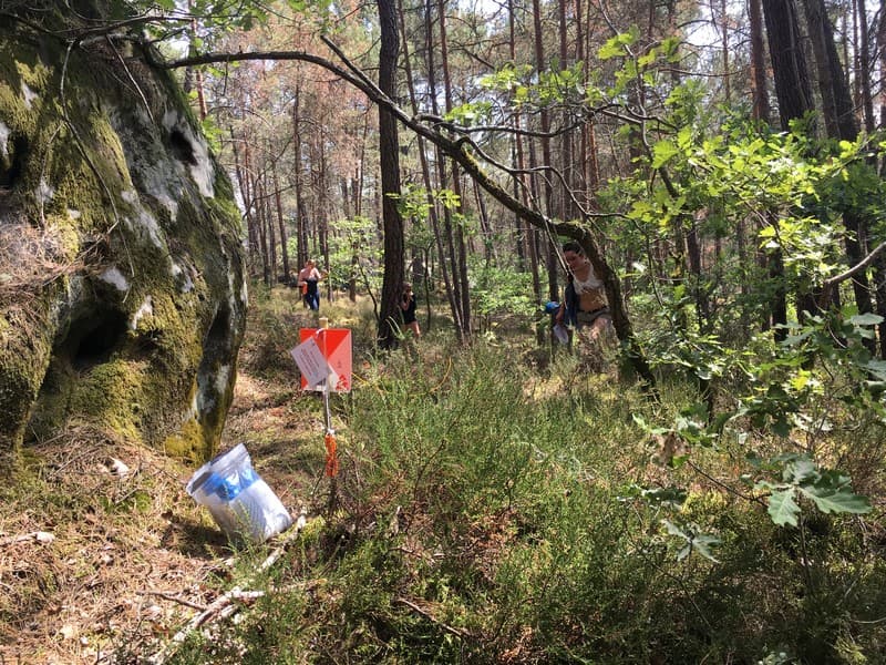 seminaire-nature-rse-paris-bois-de-vincennes