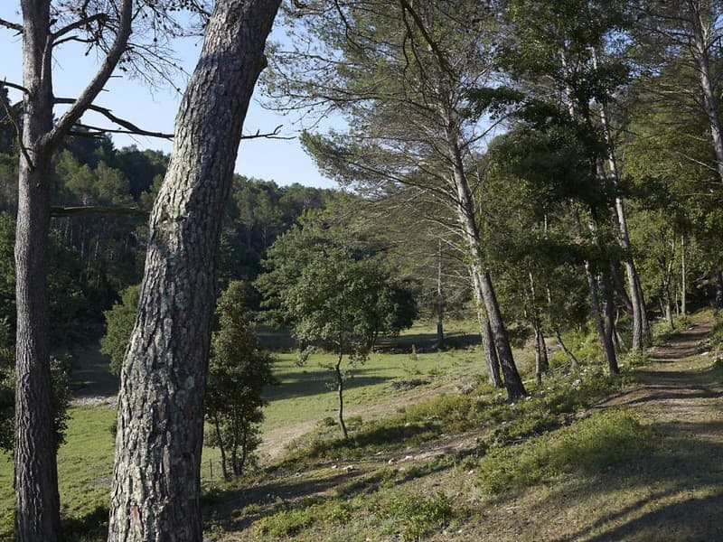 séminaire Provence