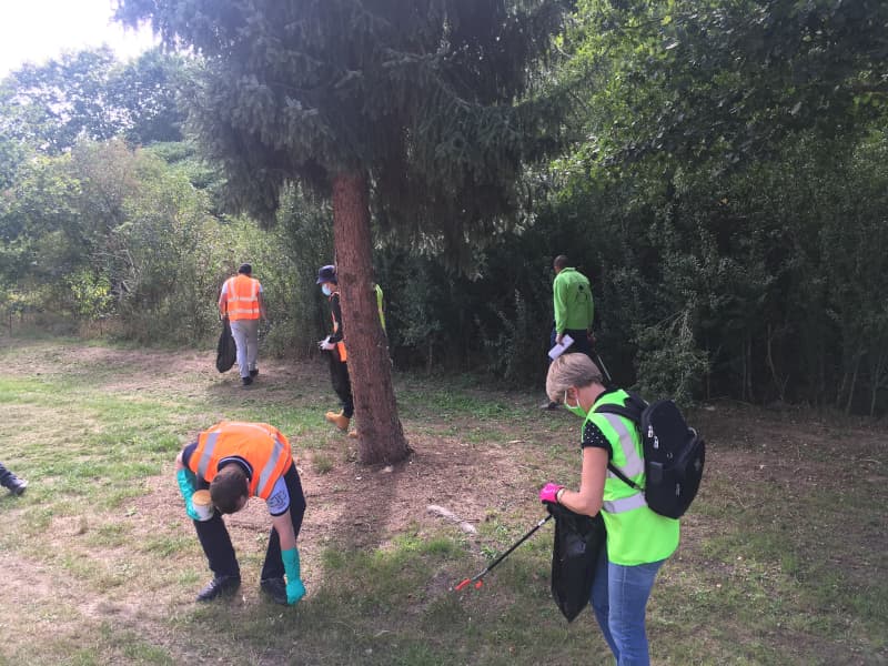team building solidaire nettoyer la forêt