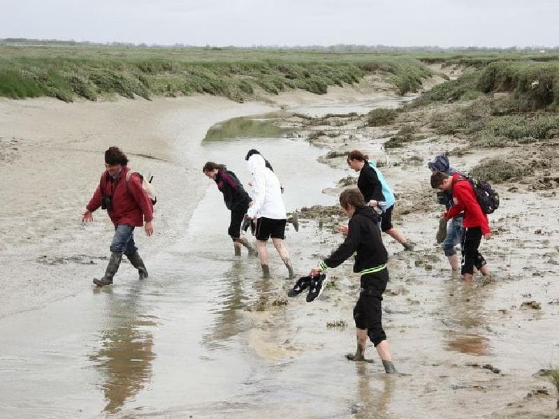 Team building Baie de Somme