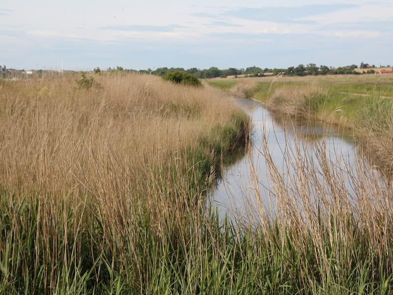 séminaire marais poitevin