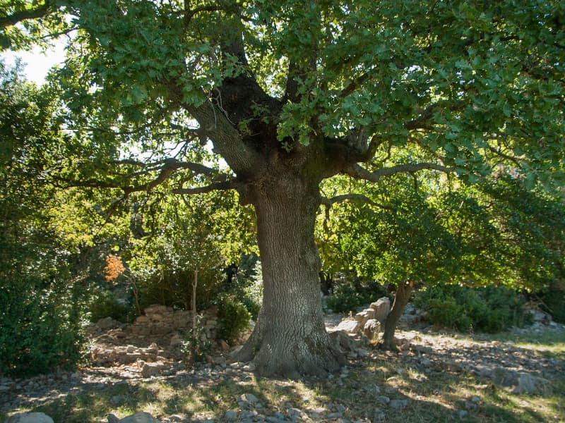séminaire provence