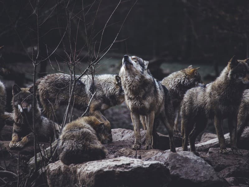 team building nature