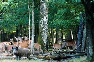 Développement durable