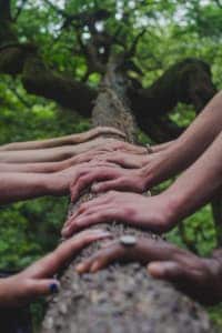 Développement durable