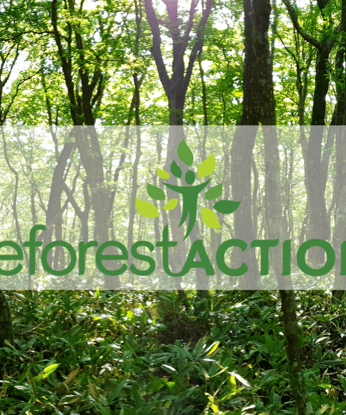 team building digital reforest'action