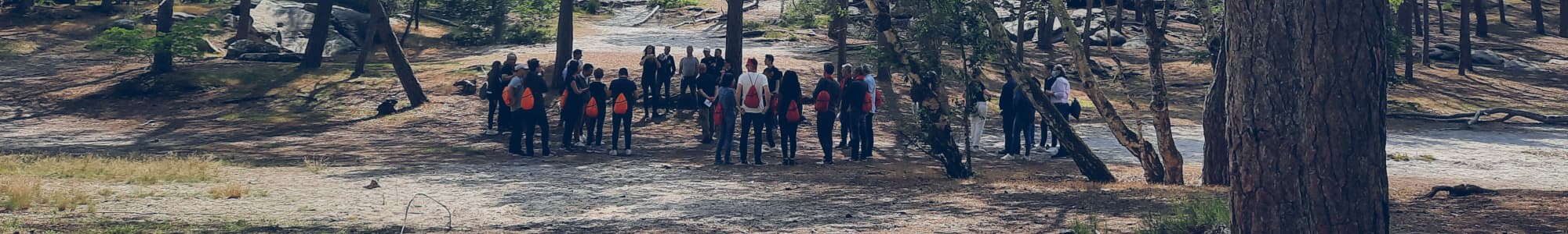 groupe séminaire au vert