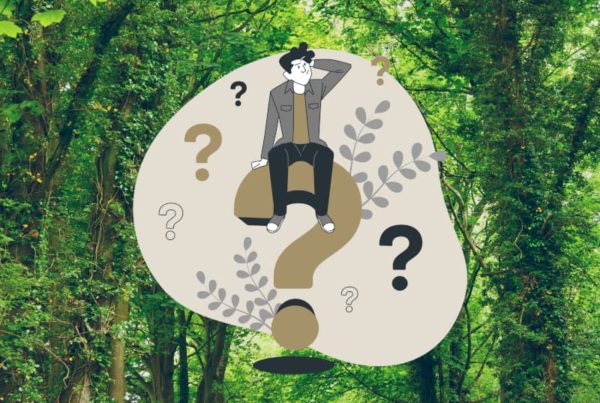 questions team building