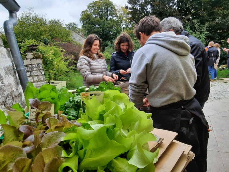 team building RSE Permaculture