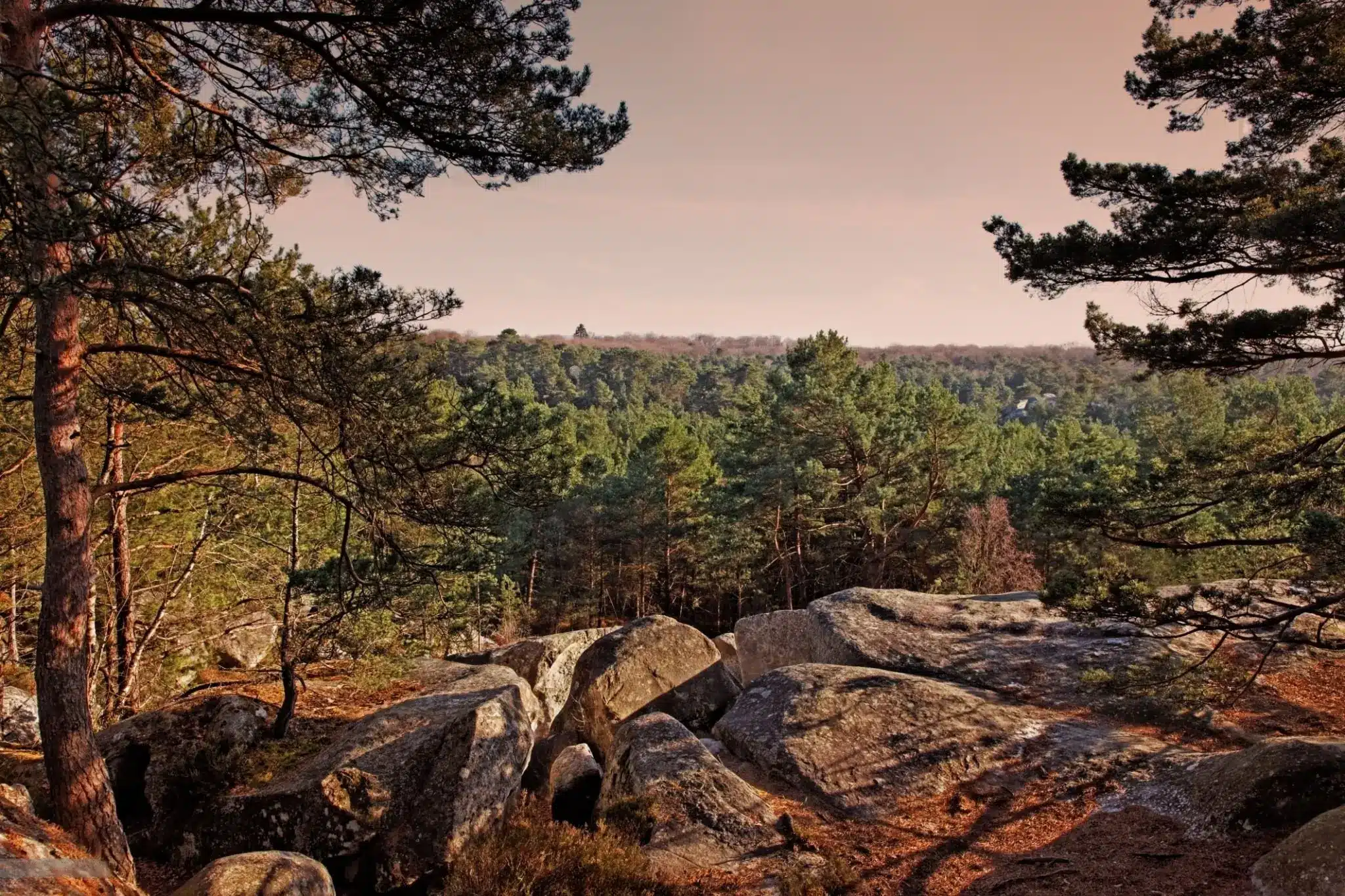 Notre TOP 5 des Lieux de pleine nature en Île-de-France