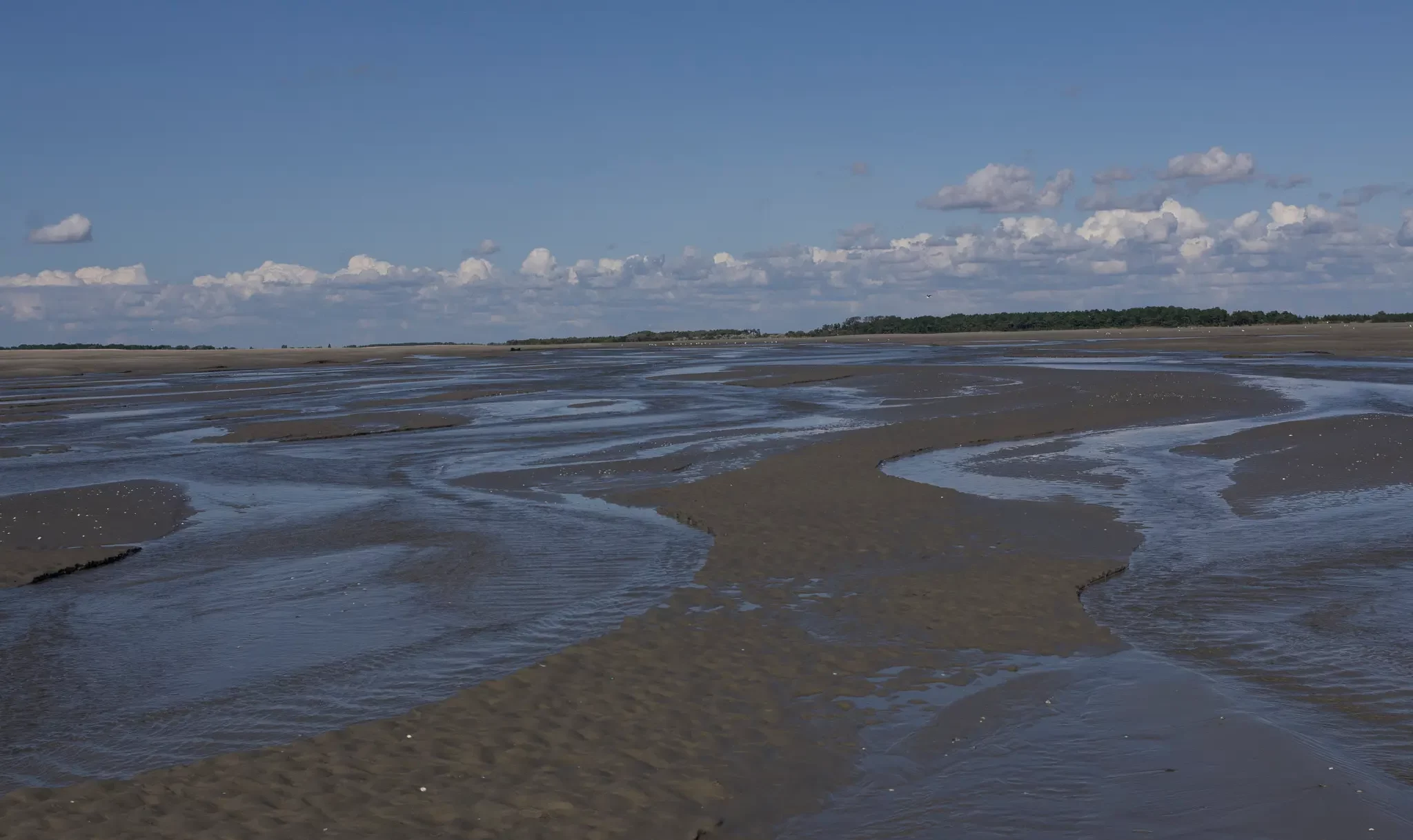 La Baie de Somme : Un Écosystème Diversifié et une Beauté à Préserver.